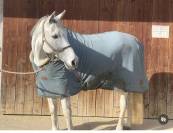 Cheval 