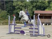 Cheval 