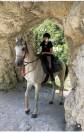 Cheval 