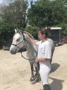 Poney D - Connemara - Plein papier 12 ans