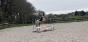 Poney C de 4 ans - 139cm - SF ccjps 4 ans C