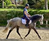 Jument 5 ans PRE top origines 160 cm