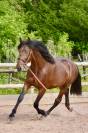 Impressionnant PRE 4 ans 170cm entier 