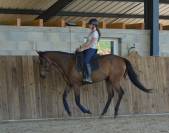 Mare English Thoroughbred For sale 2021 Bay