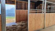 Pension chevaux Saône et Loire 