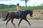 Pension chevaux Saône et Loire 