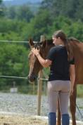 Pension chevaux Saône et Loire 