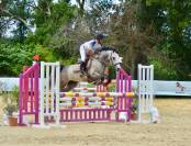 Jument de 8 ans fille de ROUDOUDOU D’HURL’VENT