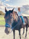  Recherche Demi-Pension pour Sueño  – Silly