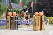 Hongre 12 ans SF pour Cso Am1/2