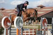 Poulain poney français de selle 