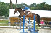 Top cheval polyvalent à prendre en DP