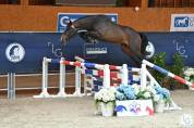 4 ans gros moyens 