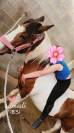 Poney à vendre Jument de 19ans. 