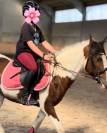 Poney à vendre Jument de 19ans. 