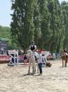 Jument 11 ans amateur 2/1