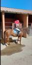 Ponette D à louer / 15 ans
