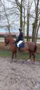 Ponette D à louer / 15 ans