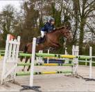 Ponette D à louer / 15 ans