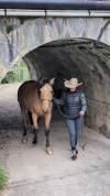 Caballo castrado PRE Pura Raza Española En venta 2021 Isabelo