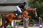 Caballo castrado Silla Francés En venta 2019 Alazán