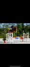 Caballo castrado Silla Francés En venta 2019 Alazán