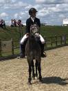 PFS poney d 