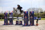 Jument de 7 ans idéale amateur cso 