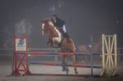 Jument de 6 ans cso