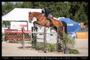 Hongre idéal cso et hunter 