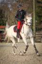 Ponette D AS2