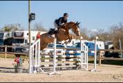 Opaline jument de 5 ans