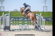 Opaline jument de 5 ans