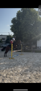 Victory garden - Tres gentil jeune cheval 