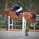 Cavalière & enseignante