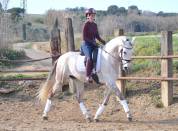 Caballo PRE tordo, con muy buen caracter, 7 años.