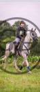 Cheval endurance 