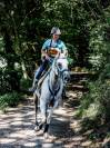 Cheval endurance 