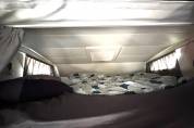 Camion per Cavalli Daf DAF 0 Occasione