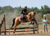 Jument onc Isabelle 4 ans