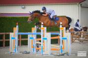 Excellent cheval de concours 130 