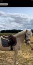 Ponette Welsh 