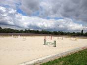Pension Chevaux et Poneys