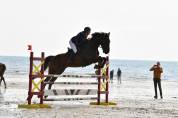 SF 10 ans pour amateur