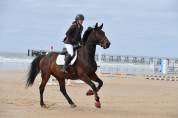 SF 10 ans pour amateur