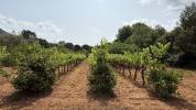 Equestrian property  Var