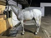 Se vende Casa domec 