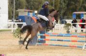 Super pony in vendita del 2011