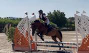 Super pony in vendita del 2011