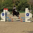 Super pony in vendita del 2011